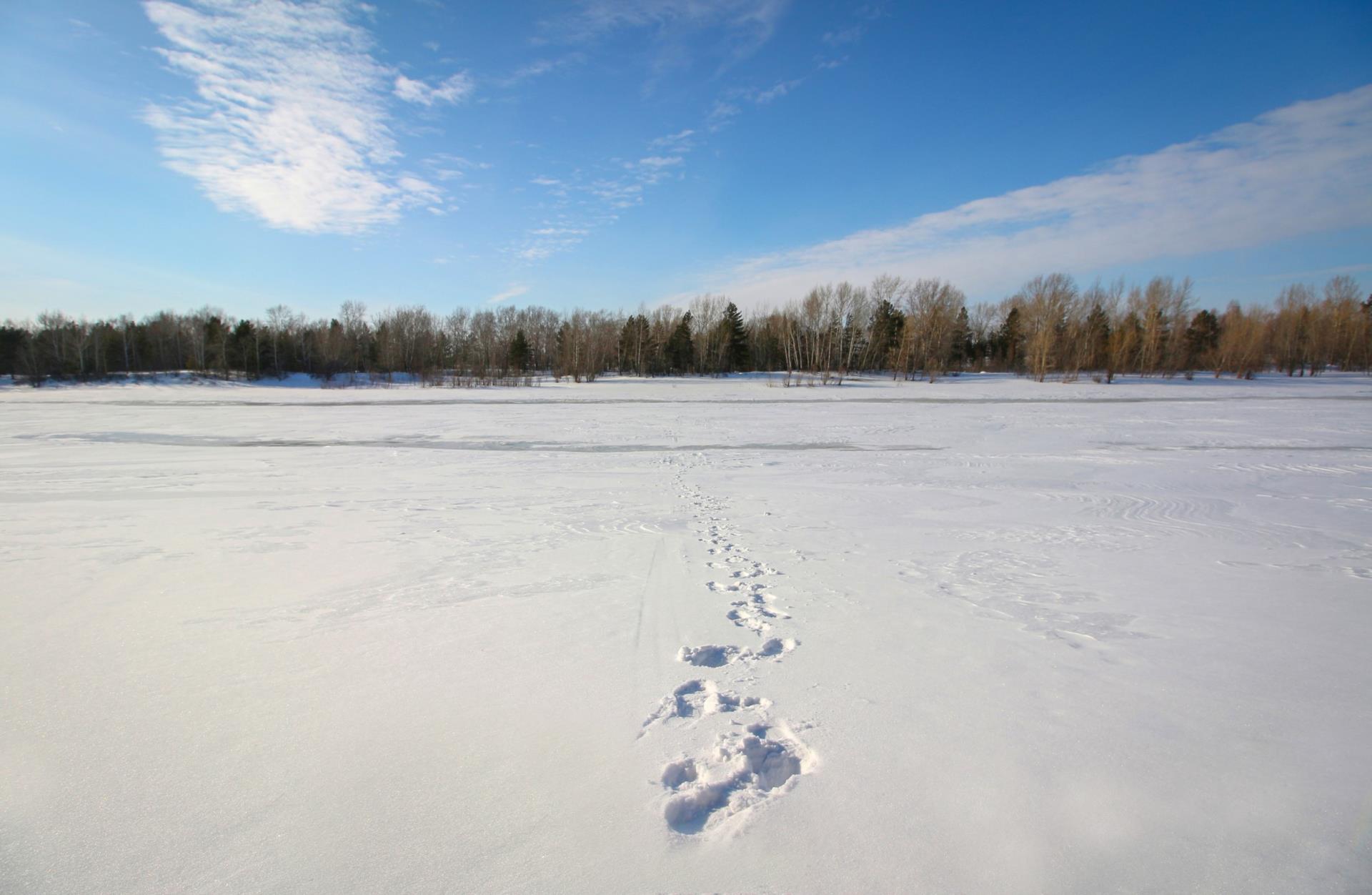 Winter scene